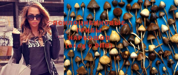 прущий лед Медвежьегорск