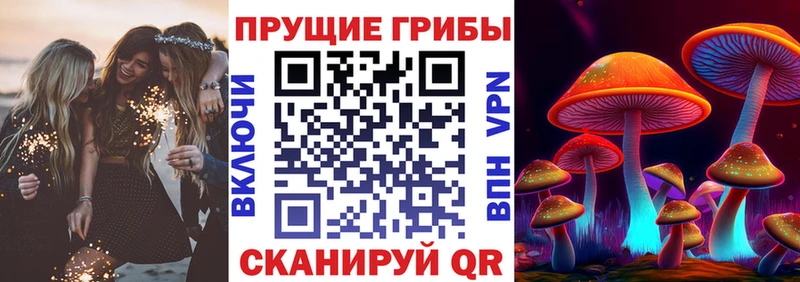 Псилоцибиновые грибы GOLDEN TEACHER  Чегем 